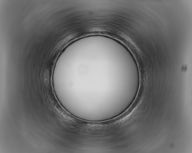 X0000090860825200707270931