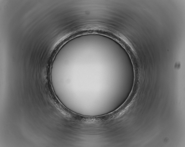 X0000090860826200707270931