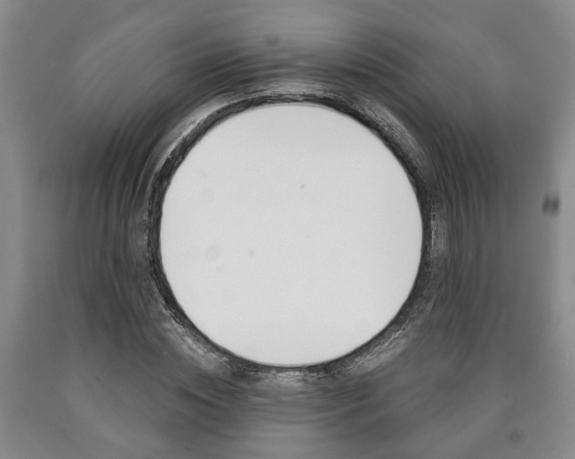 X0000090860828200707270931