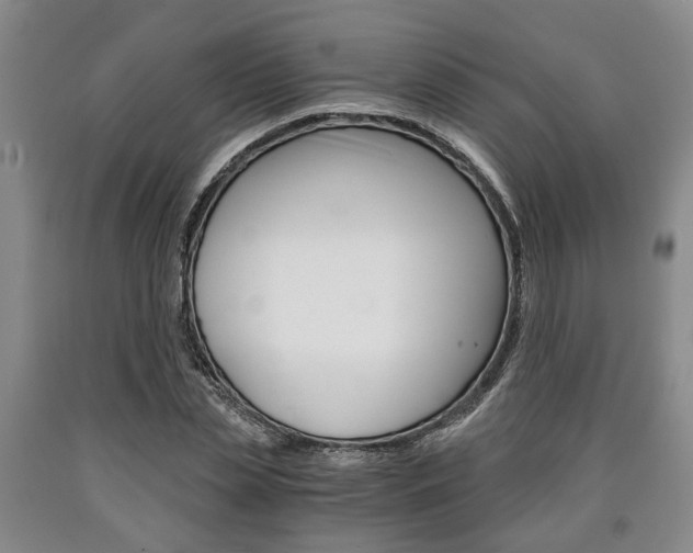 X0000090860829200707270931