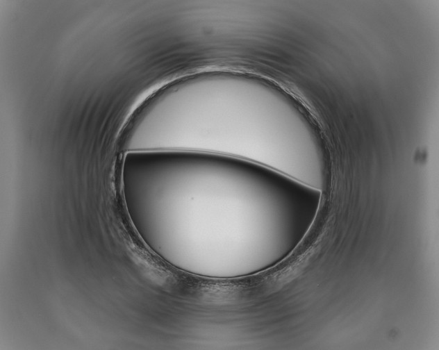 X0000090860830200707270931