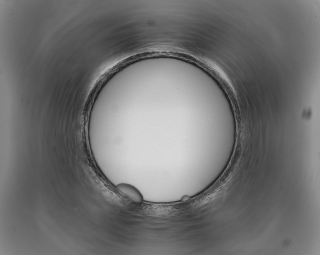 X0000090860831200707270931