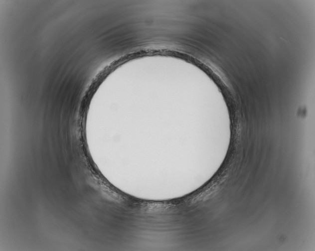 X0000090860832200707270931