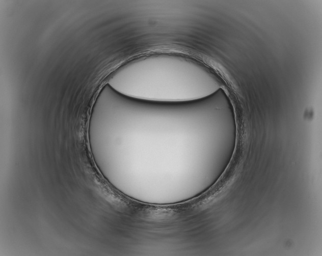 X0000090860833200707270931