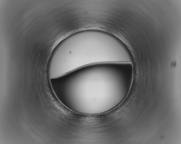 X0000090860834200707270932