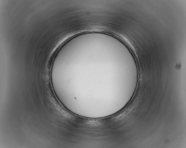 X0000090860835200707270932