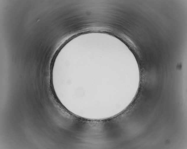 X0000090860836200707270932