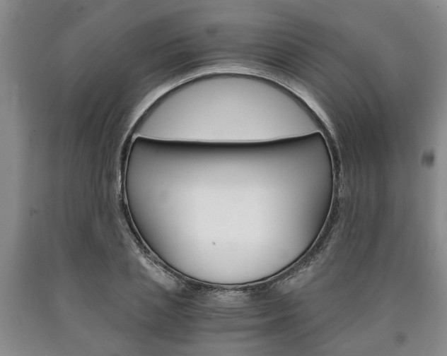 X0000090860837200707270932