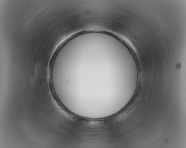X0000090860839200707270932