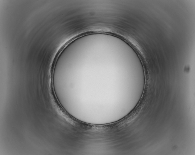 X0000090860840200707270932