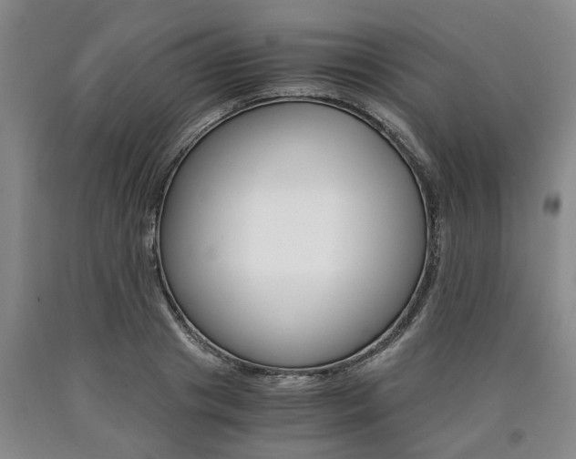 X0000090860841200707270932