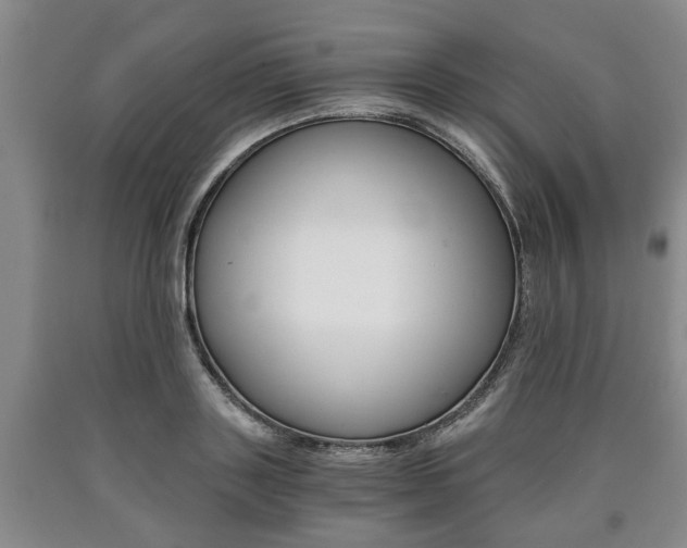 X0000090860843200707270932