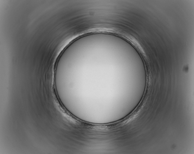 X0000090860844200707270932