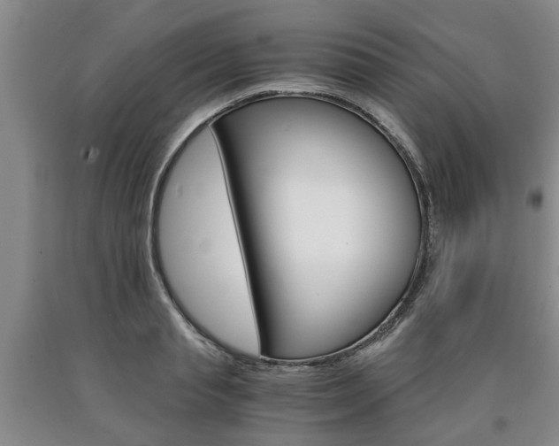 X0000090860845200707270932