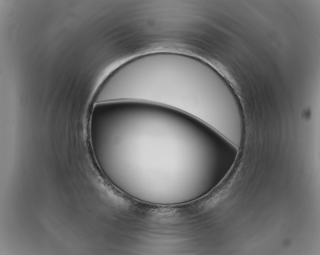X0000090860846200707270932