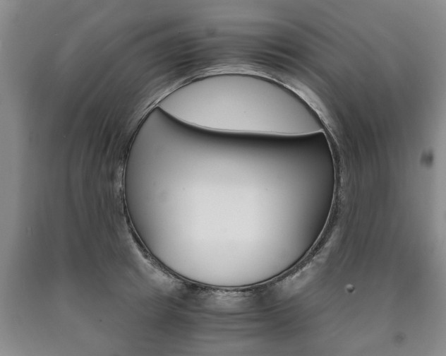 X0000090860849200707270932