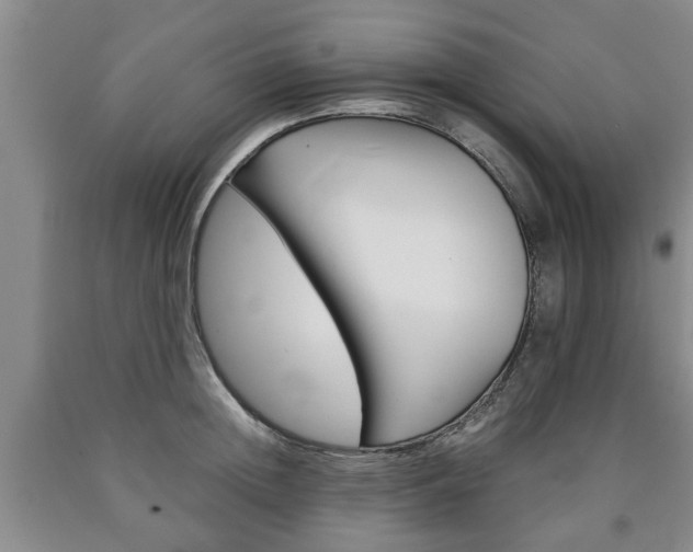 X0000090860852200707270932