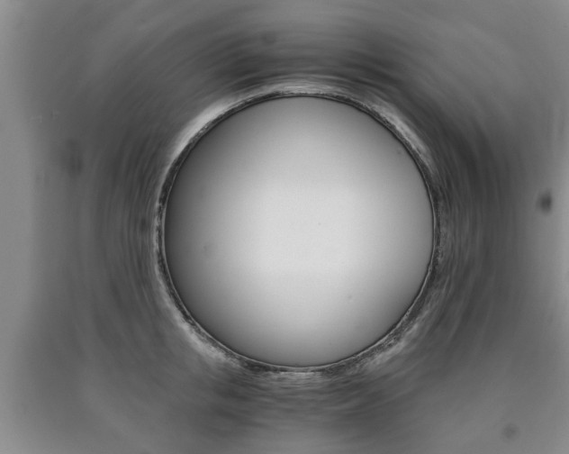 X0000090860853200707270932