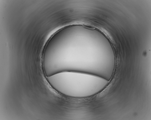X0000090860854200707270932