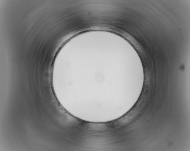 X0000090860856200707270932