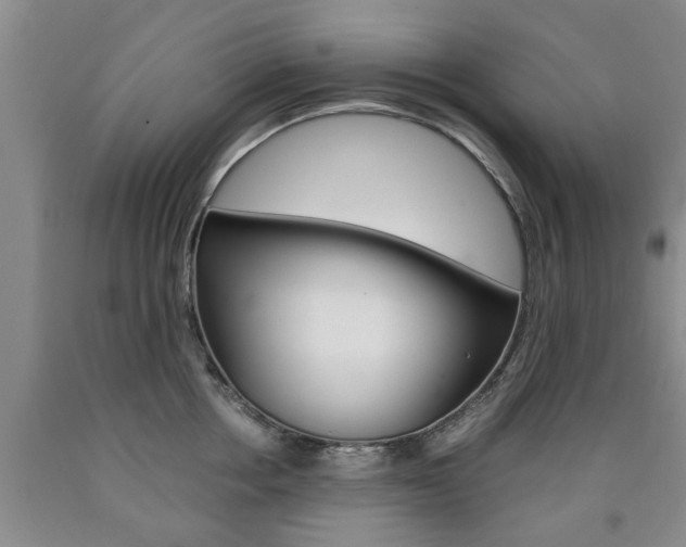 X0000090860858200707270932