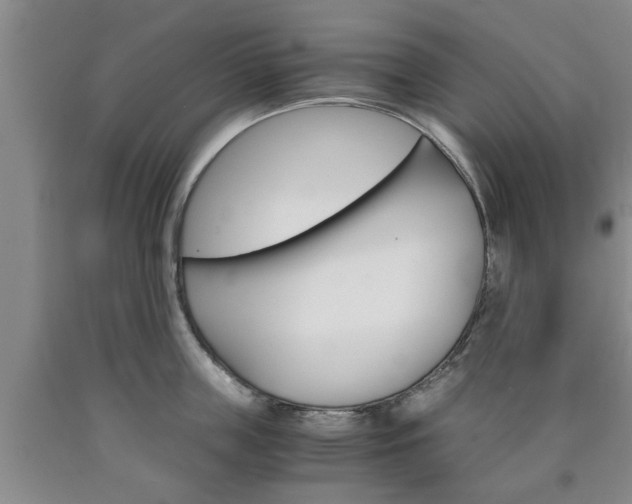 X0000090860859200707270932