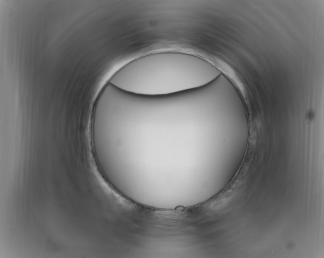 X0000090860863200707270932