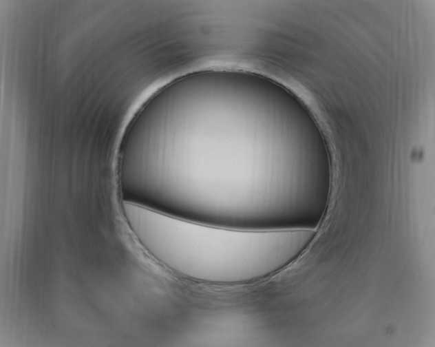 X0000090860864200707270932