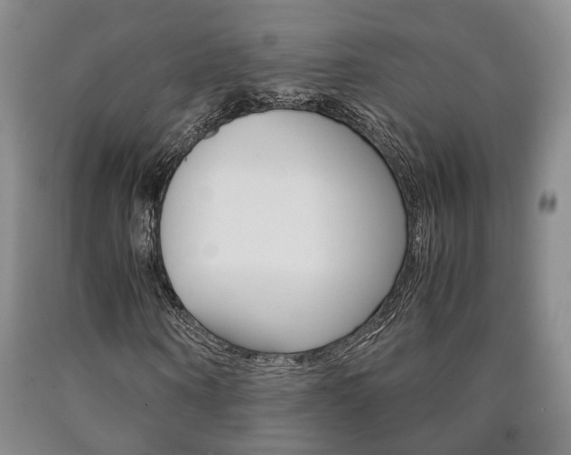 X0000090860866200707270931