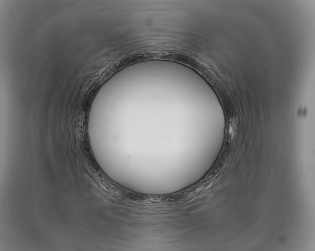 X0000090860867200707270931