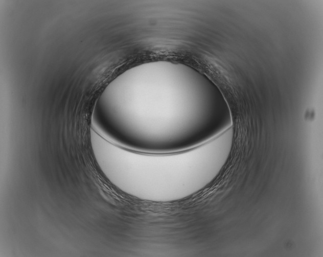 X0000090860868200707270931