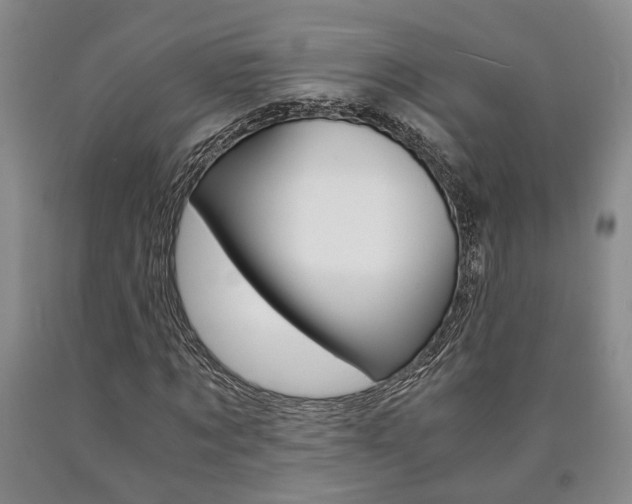X0000090860869200707270931