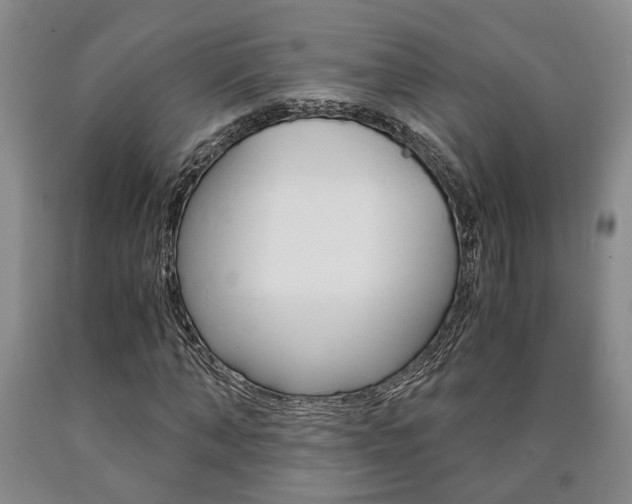 X0000090860870200707270931