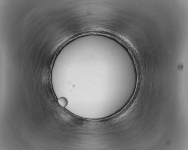 X0000090860873200707270931