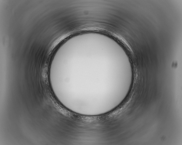X0000090860874200707270931