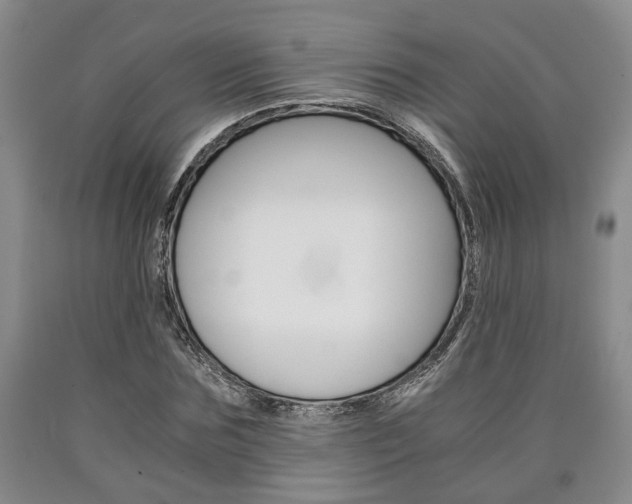 X0000090860875200707270931