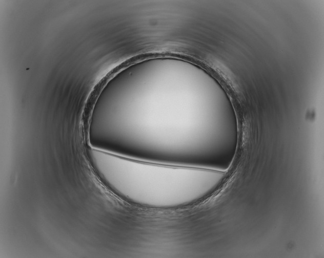 X0000090860876200707270931