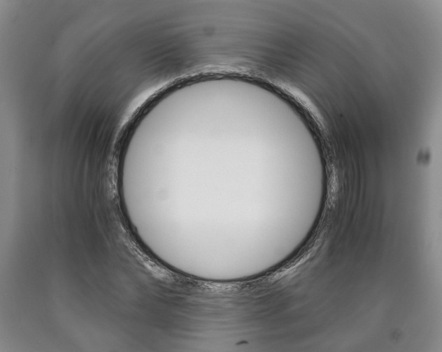 X0000090860878200707270931