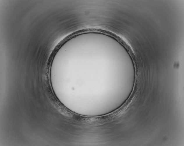 X0000090860879200707270931