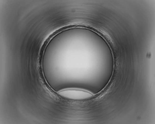 X0000090860880200707270931