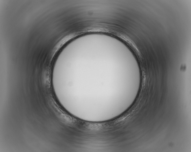 X0000090860882200707270931
