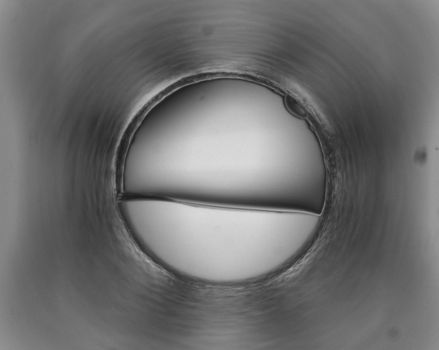 X0000090860884200707270931