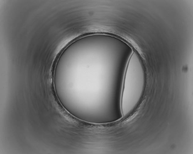 X0000090860885200707270931