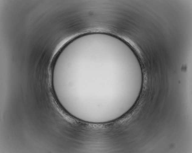 X0000090860886200707270931