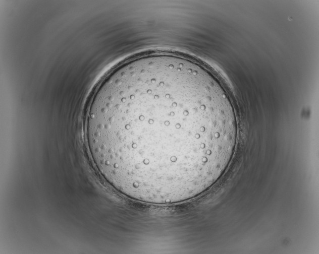 X0000090860887200707270931