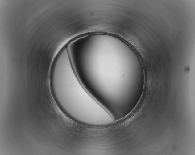 X0000090860888200707270931