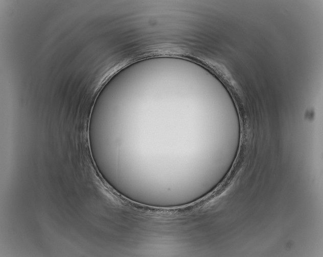 X0000090860889200707270931