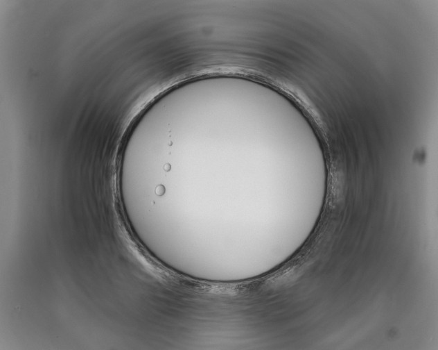 X0000090860890200707270931