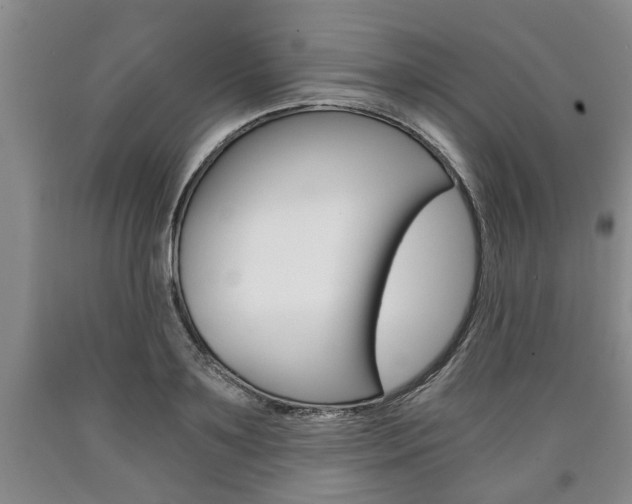 X0000090860891200707270931