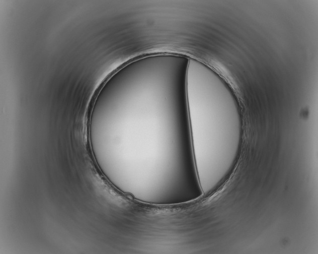 X0000090860892200707270931